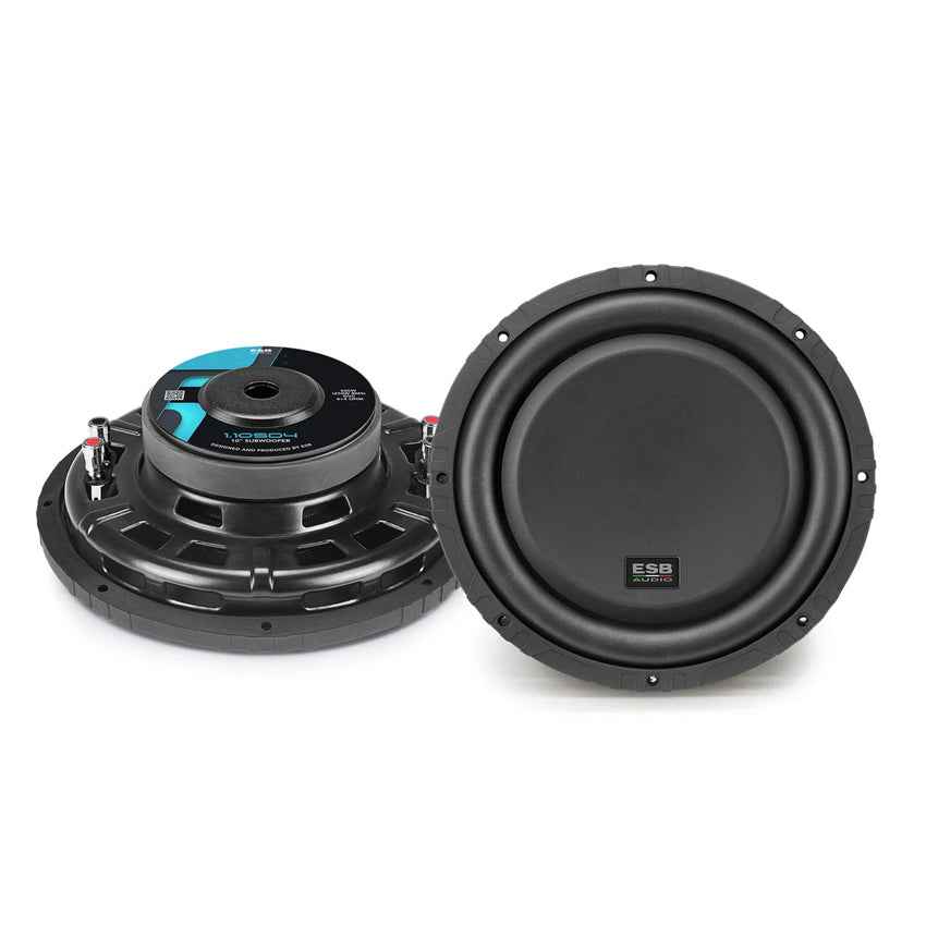 ESB Audio 10 Inch SHALLOW Subwoofer