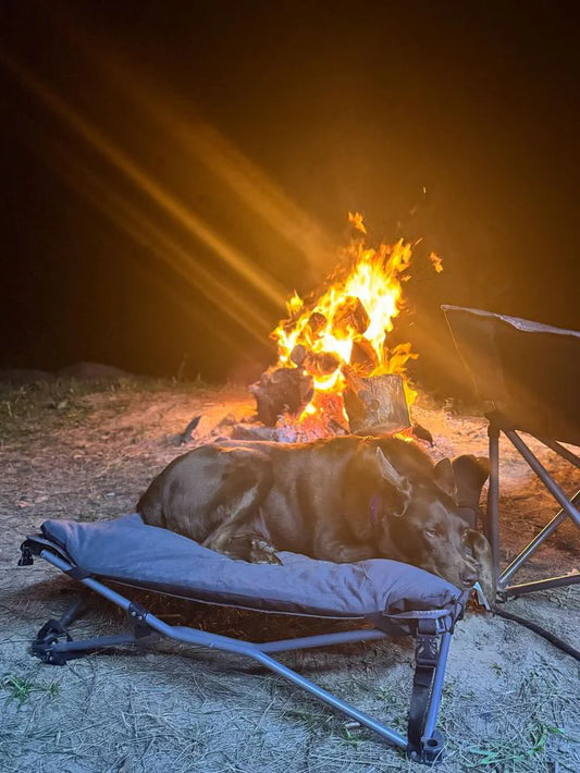 Deluxe Folding Pet Camp Bed, 60 x 60cm Removable Washable Cover, 60KG Rating