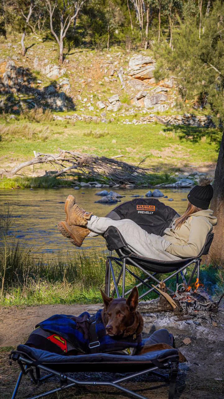 Deluxe Folding Pet Camp Bed, 60 x 60cm Removable Washable Cover, 60KG Rating