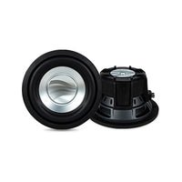 rainbow-soundline-10-inch-subwoofer